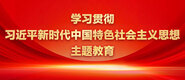 少萝足交扣逼学习贯彻习近平新时代中国特色社会主义思想主题教育_fororder_ad-371X160(2)